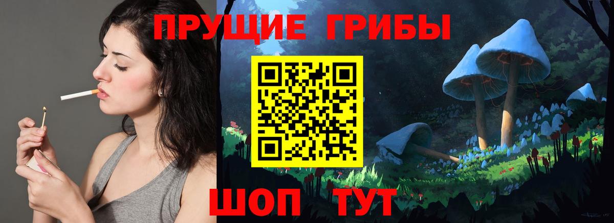 Галлюциногенные грибы мухоморы Минеральные Воды